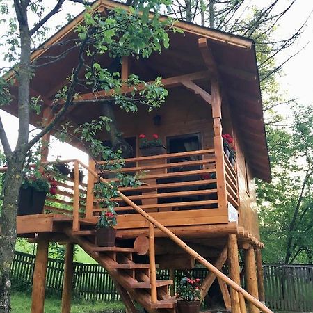 Vila Domeniul Horj Casa Din Cires Moisei Exteriér fotografie