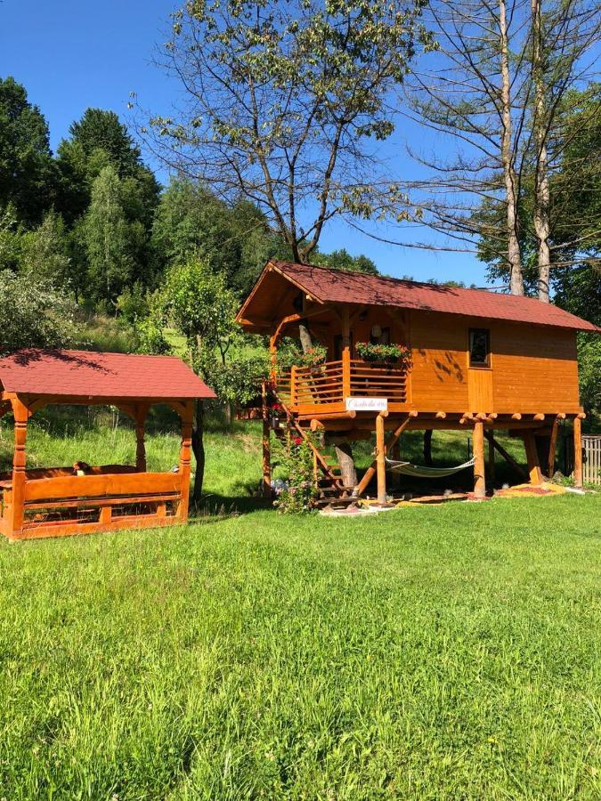 Vila Domeniul Horj Casa Din Cires Moisei Exteriér fotografie
