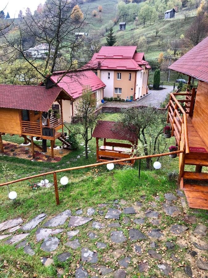 Vila Domeniul Horj Casa Din Cires Moisei Exteriér fotografie