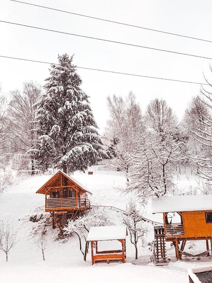 Vila Domeniul Horj Casa Din Cires Moisei Exteriér fotografie
