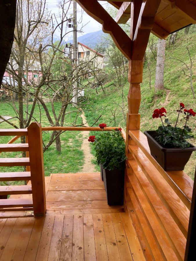 Vila Domeniul Horj Casa Din Cires Moisei Exteriér fotografie