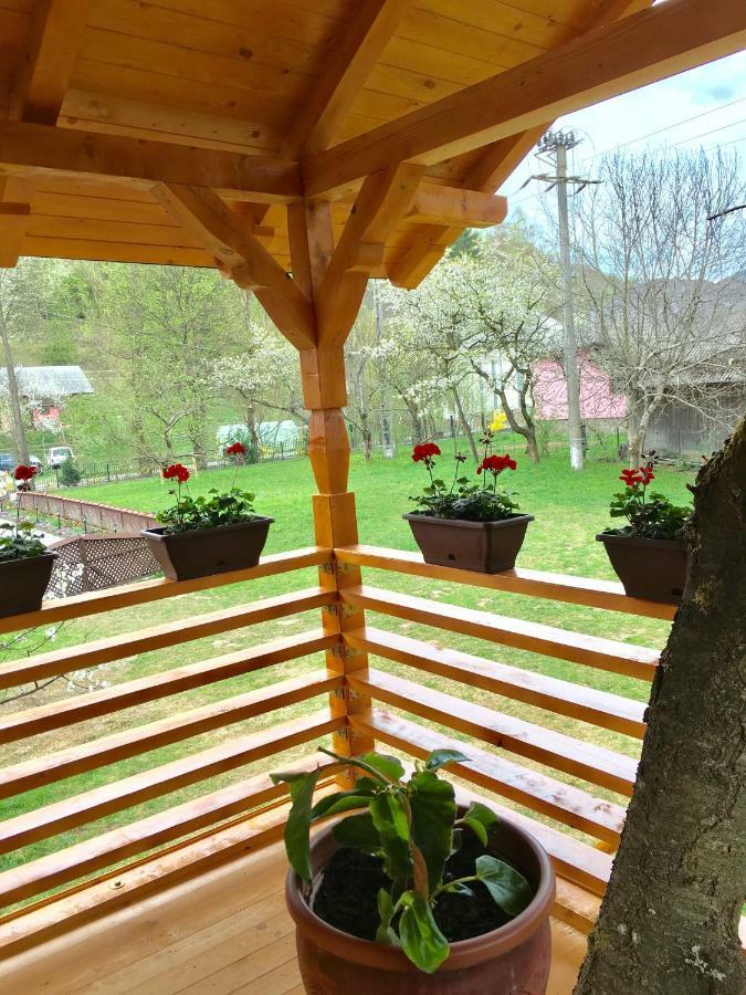 Vila Domeniul Horj Casa Din Cires Moisei Exteriér fotografie