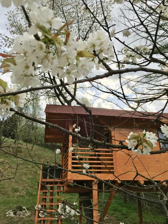 Vila Domeniul Horj Casa Din Cires Moisei Exteriér fotografie