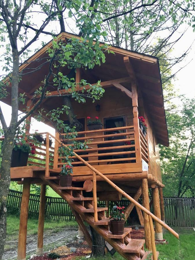 Vila Domeniul Horj Casa Din Cires Moisei Exteriér fotografie
